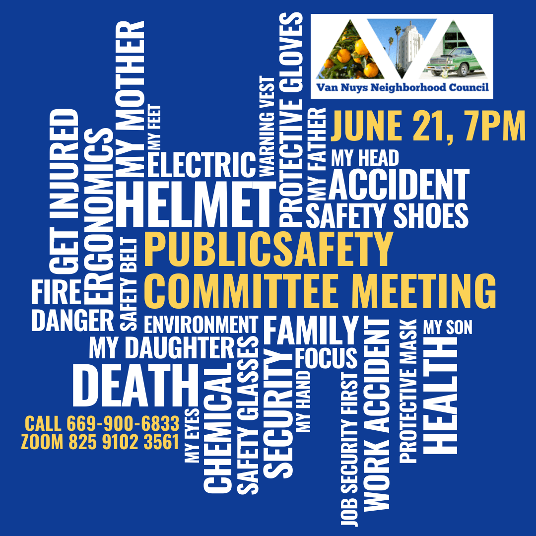 Public Safety Committee Meeting