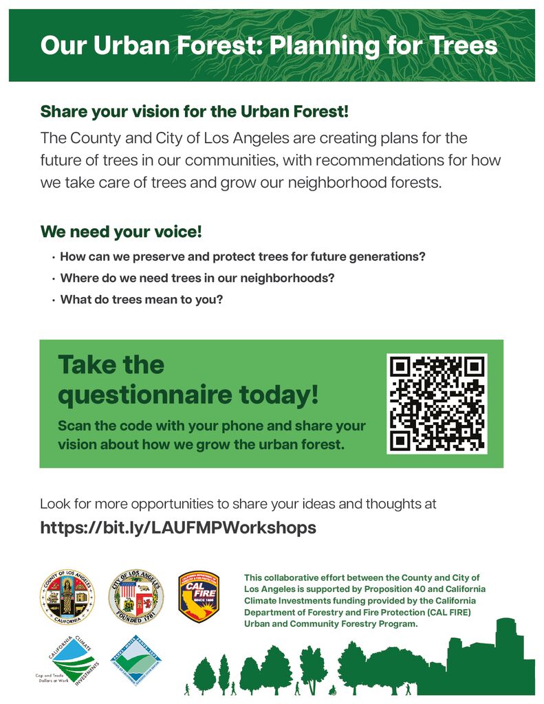 What is Your Vision for Our Urban Forest?