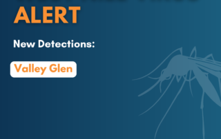 West nile virus in Valley Glen